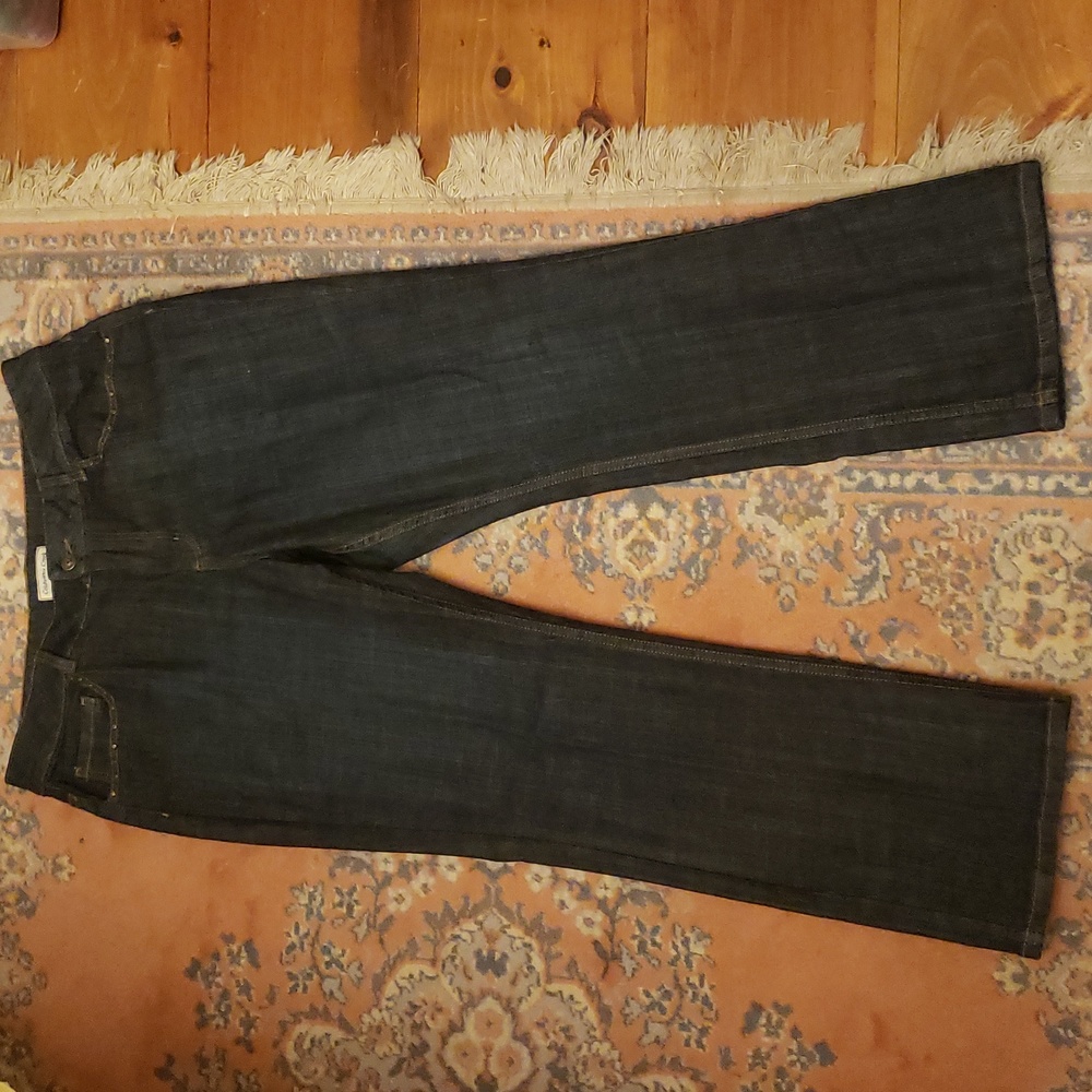 COLDWATER CREEK dark denim jean with small rivet and floral design Size 16P
